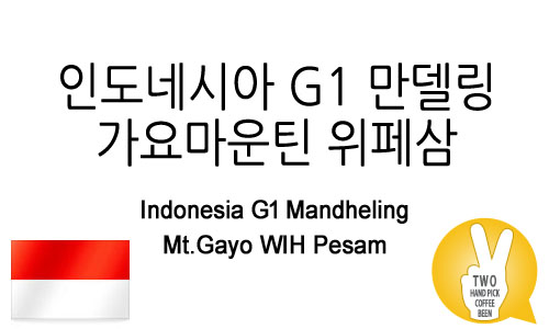 인도네시아 G1 만델링 가요마운틴 위페삼 (G1 Mandheling Mt.Gayo WIH Pesam)