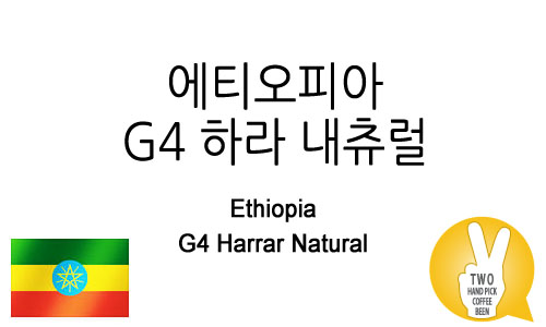 에티오피아 G4 하라 내츄럴 (G4 Harrar Natura)